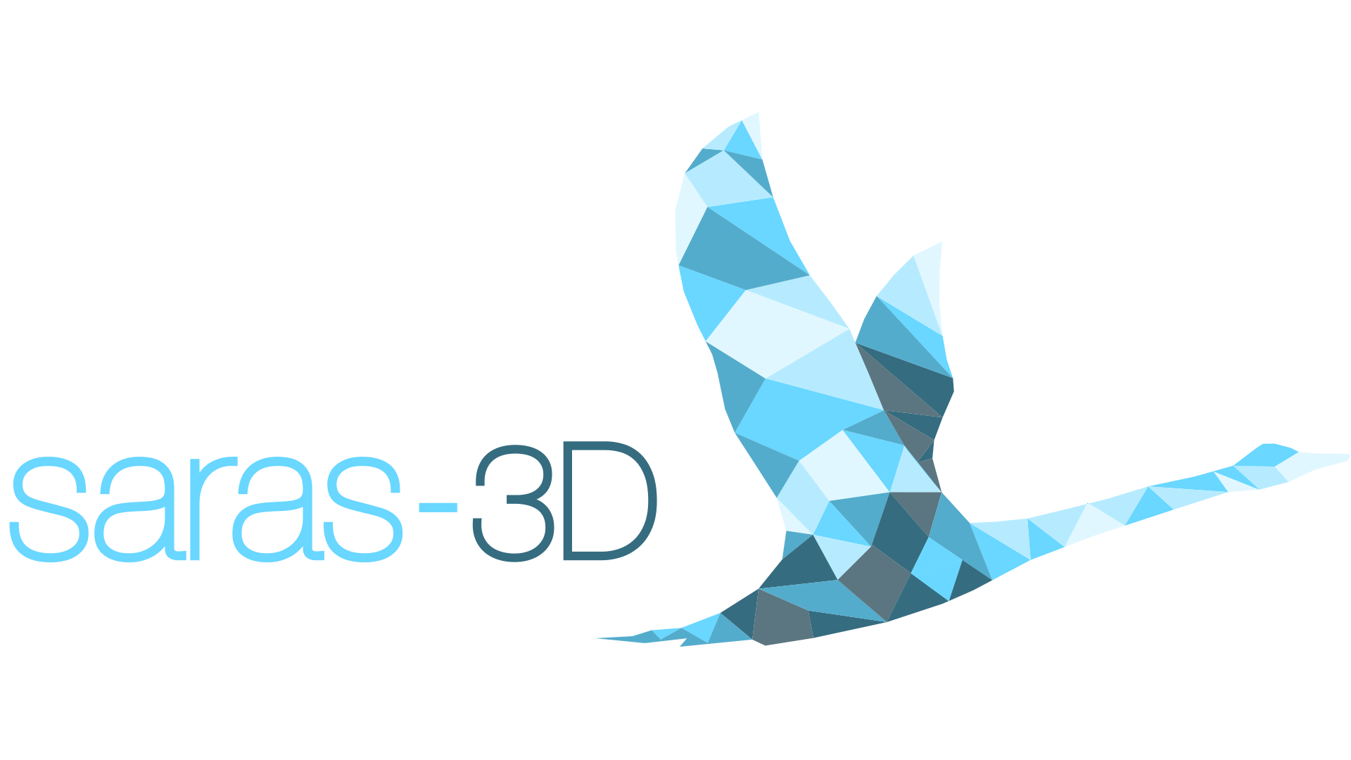 Saras-3D